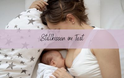 Blog 6 Stillkissen-Test