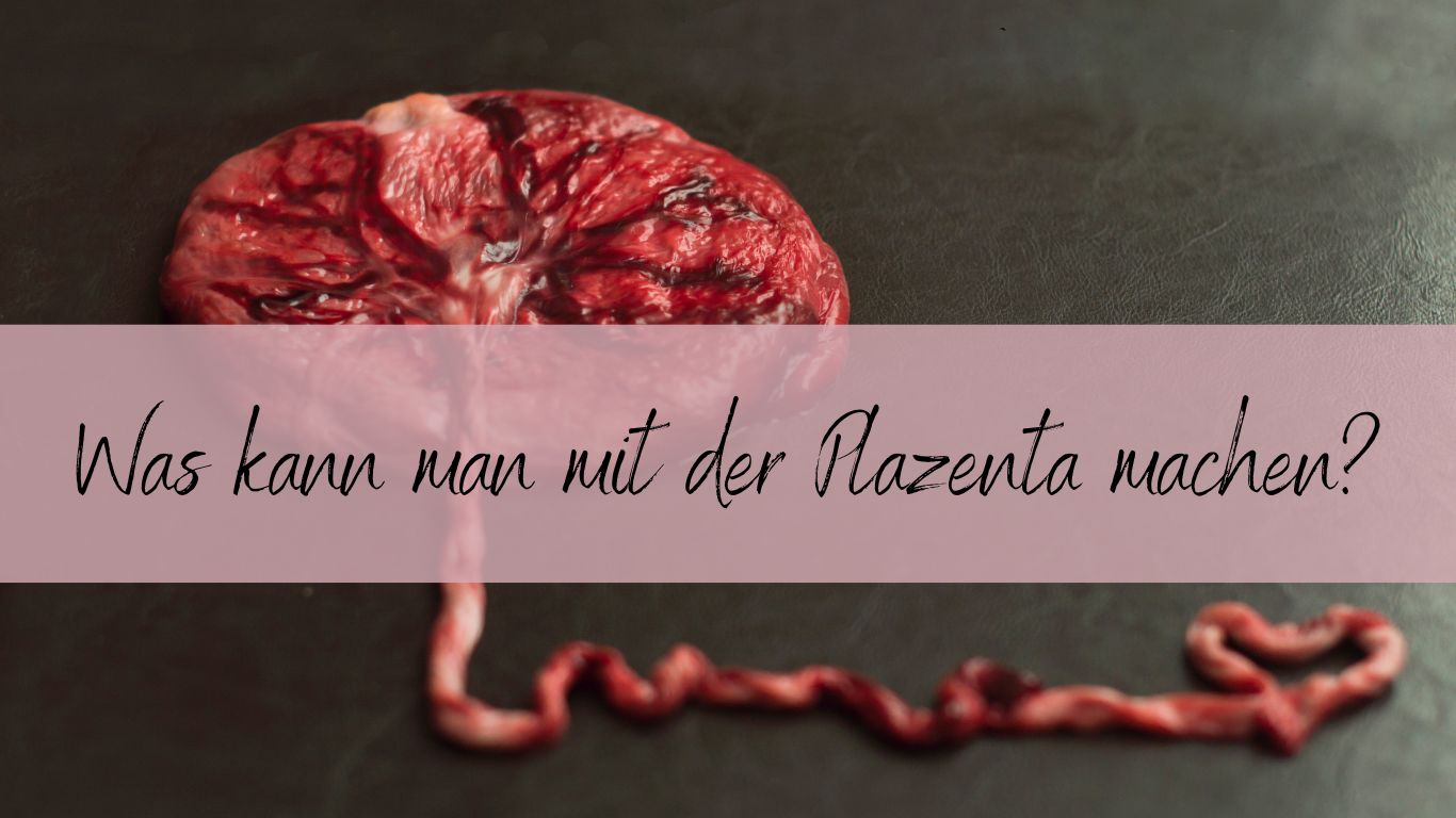 Was Kann Man Mit Der Plazenta Machen